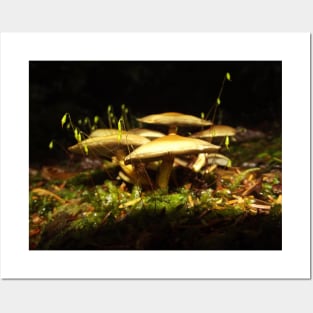 Mushroom Nature Photography Pacific Northwest Posters and Art